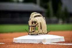 2023 Wilson A2000 1786 11.5" Infield Baseball Glove: WBW100969115 14 2023 Wilson A2000 1786 11.5" Infield Baseball Glove: WBW100969115 -Baseball Shop 2023A20001786 WBW100969115 2