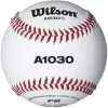 Wilson Champion Series WTA1030BFS Game And Practice Baseball -Baseball Shop wilson champion series wta1030bfs game and practice baseball 5