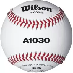 Wilson Champion Series WTA1030BFS Game And Practice Baseball